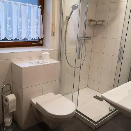 Naturidyll Am Fluss - Ferienhaus Albmatte - Grosser Garten Zum Grillen Und Entspannen-Direkt Neben Dem Radon Revitalbad Mit Sauna Und Thermalbecken St. Blasien Exterior photo