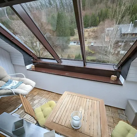 Naturidyll Am Fluss - Ferienhaus Albmatte - Grosser Garten Zum Grillen Und Entspannen-Direkt Neben Dem Radon Revitalbad Mit Sauna Und Thermalbecken St. Blasien Room photo