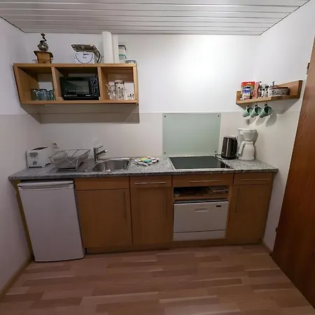 Naturidyll Am Fluss - Ferienhaus Albmatte - Grosser Garten Zum Grillen Und Entspannen-Direkt Neben Dem Radon Revitalbad Mit Sauna Und Thermalbecken St. Blasien Room photo