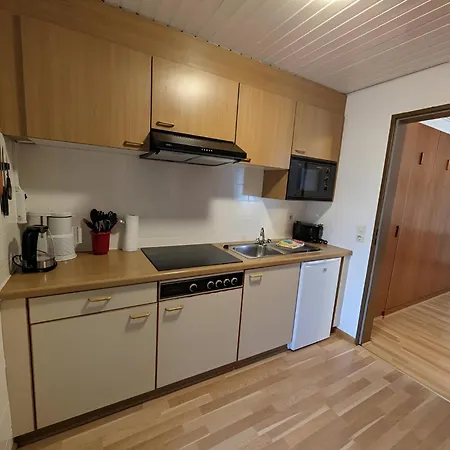 Naturidyll Am Fluss - Ferienhaus Albmatte - Grosser Garten Zum Grillen Und Entspannen-Direkt Neben Dem Radon Revitalbad Mit Sauna Und Thermalbecken St. Blasien Room photo