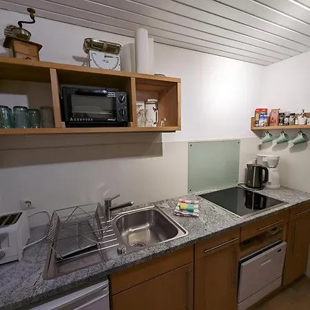 Naturidyll Am Fluss - Ferienhaus Albmatte - Grosser Garten Zum Grillen Und Entspannen-Direkt Neben Dem Radon Revitalbad Mit Sauna Und Thermalbecken St. Blasien Room photo