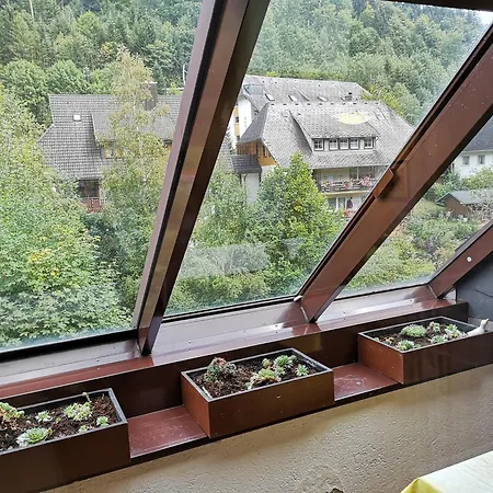 Naturidyll Am Fluss - Ferienhaus Albmatte - Grosser Garten Zum Grillen Und Entspannen-Direkt Neben Dem Radon Revitalbad Mit Sauna Und Thermalbecken St. Blasien Room photo