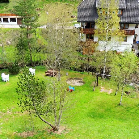 Naturidyll Am Fluss - Ferienhaus Albmatte - Grosser Garten Zum Grillen Und Entspannen-Direkt Neben Dem Radon Revitalbad Mit Sauna Und Thermalbecken St. Blasien Exterior photo