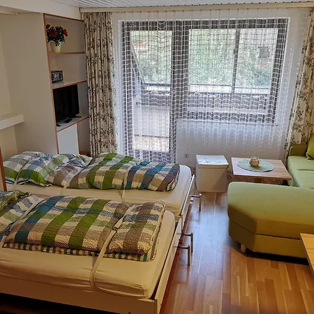 Naturidyll Am Fluss - Ferienhaus Albmatte - Grosser Garten Zum Grillen Und Entspannen-Direkt Neben Dem Radon Revitalbad Mit Sauna Und Thermalbecken St. Blasien Room photo