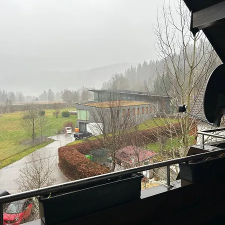 Naturidyll Am Fluss - Ferienhaus Albmatte - Grosser Garten Zum Grillen Und Entspannen-Direkt Neben Dem Radon Revitalbad Mit Sauna Und Thermalbecken St. Blasien Room photo