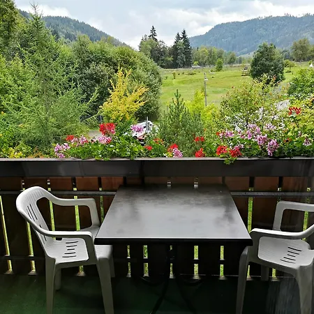 Naturidyll Am Fluss - Ferienhaus Albmatte - Grosser Garten Zum Grillen Und Entspannen-Direkt Neben Dem Radon Revitalbad Mit Sauna Und Thermalbecken St. Blasien Room photo