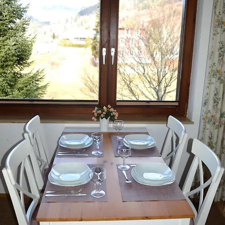 Naturidyll Am Fluss - Ferienhaus Albmatte - Grosser Garten Zum Grillen Und Entspannen-Direkt Neben Dem Radon Revitalbad Mit Sauna Und Thermalbecken St. Blasien Exterior photo