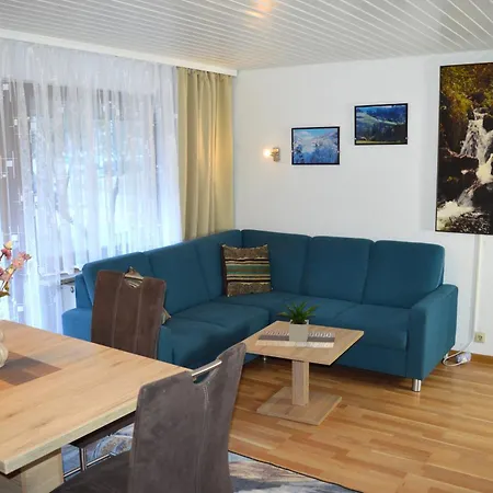 Naturidyll Am Fluss - Ferienhaus Albmatte - Grosser Garten Zum Grillen Und Entspannen-Direkt Neben Dem Radon Revitalbad Mit Sauna Und Thermalbecken St. Blasien Exterior photo