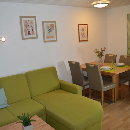 Naturidyll Am Fluss - Ferienhaus Albmatte - Grosser Garten Zum Grillen Und Entspannen-Direkt Neben Dem Radon Revitalbad Mit Sauna Und Thermalbecken St. Blasien Exterior photo