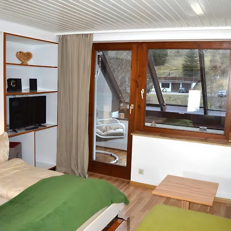 Naturidyll Am Fluss - Ferienhaus Albmatte - Grosser Garten Zum Grillen Und Entspannen-Direkt Neben Dem Radon Revitalbad Mit Sauna Und Thermalbecken St. Blasien Room photo