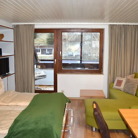 Naturidyll Am Fluss - Ferienhaus Albmatte - Grosser Garten Zum Grillen Und Entspannen-Direkt Neben Dem Radon Revitalbad Mit Sauna Und Thermalbecken St. Blasien Room photo