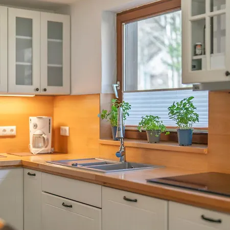 Naturidyll Am Fluss - Ferienhaus Albmatte - Grosser Garten Zum Grillen Und Entspannen-Direkt Neben Dem Radon Revitalbad Mit Sauna Und Thermalbecken St. Blasien Exterior photo