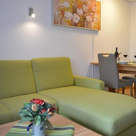 Naturidyll Am Fluss - Ferienhaus Albmatte - Grosser Garten Zum Grillen Und Entspannen-Direkt Neben Dem Radon Revitalbad Mit Sauna Und Thermalbecken St. Blasien Room photo