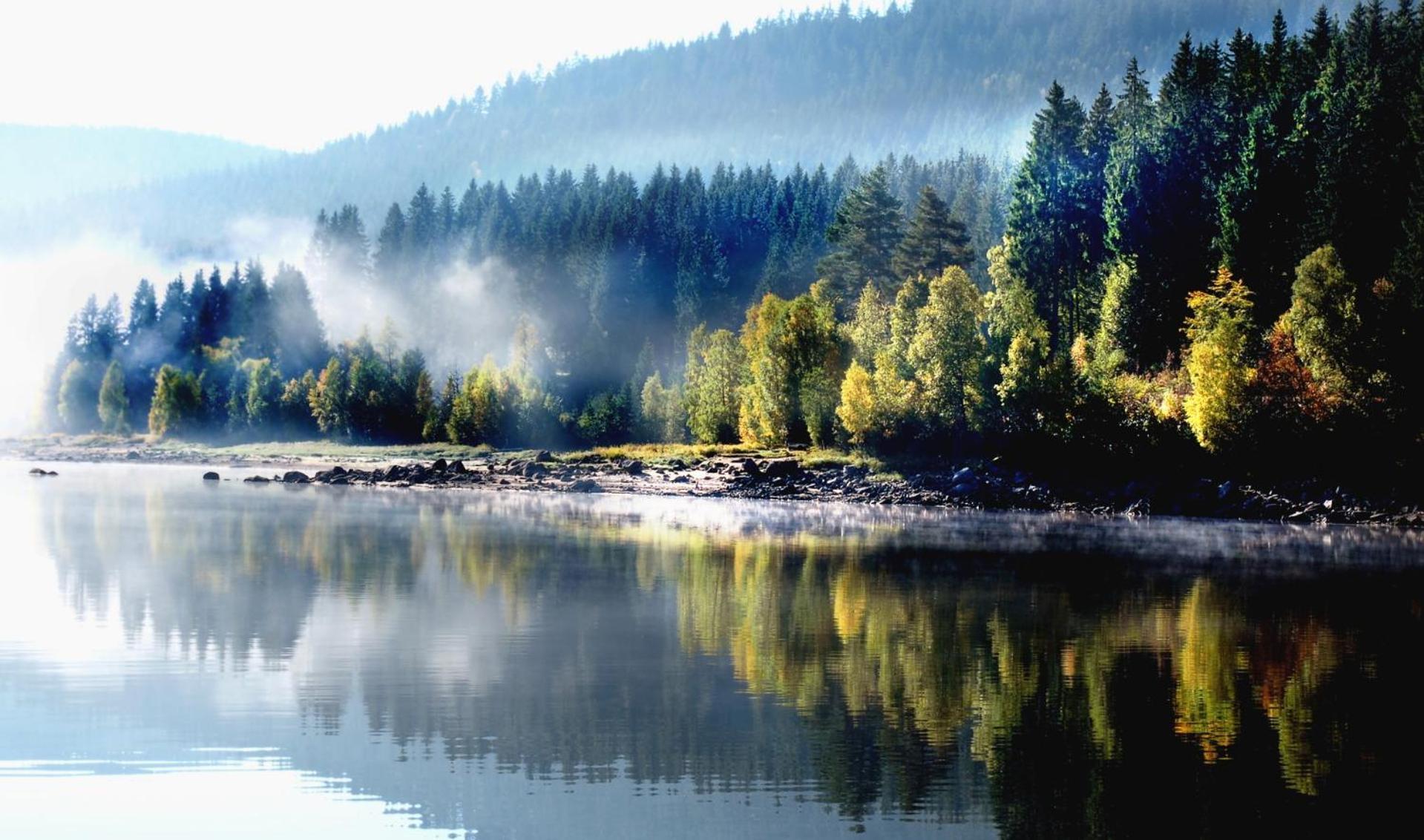 Naturidyll Am Fluss - Albmatte - Grosser Garten Zum Grillen Und Entspannen-direkt Neben Dem Radon Revitalbad Mit Sauna Und Thermalbecken * St. Blasien