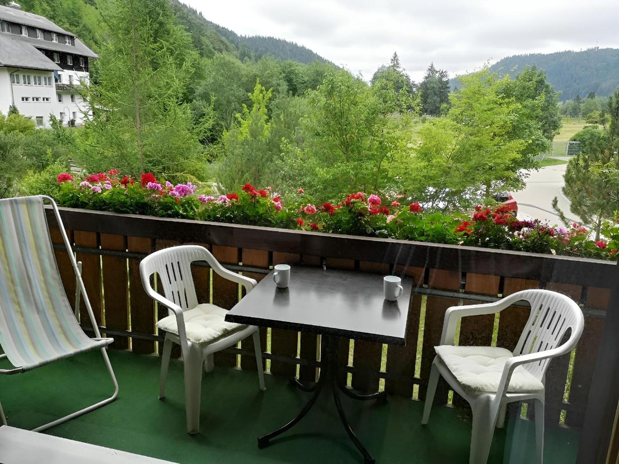 Naturidyll Am Fluss - Albmatte - Grosser Garten Zum Grillen Und Entspannen-direkt Neben Dem Radon Revitalbad Mit Sauna Und Thermalbecken Apartment St. Blasien