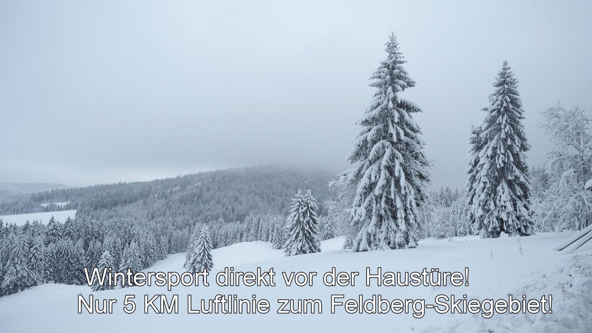 Naturidyll Am Fluss - Albmatte - Grosser Garten Zum Grillen Und Entspannen-direkt Neben Dem Radon Revitalbad Mit Sauna Und Thermalbecken Apartment *