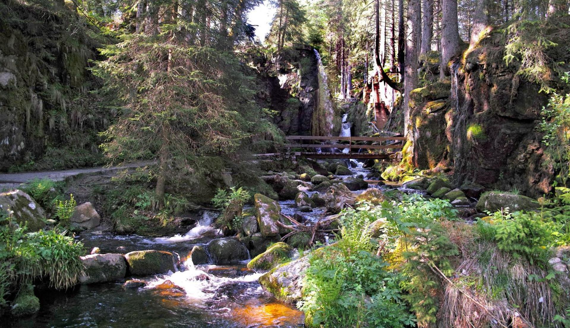 Naturidyll Am Fluss - Albmatte - Grosser Garten Zum Grillen Und Entspannen-direkt Neben Dem Radon Revitalbad Mit Sauna Und Thermalbecken Apartment St. Blasien