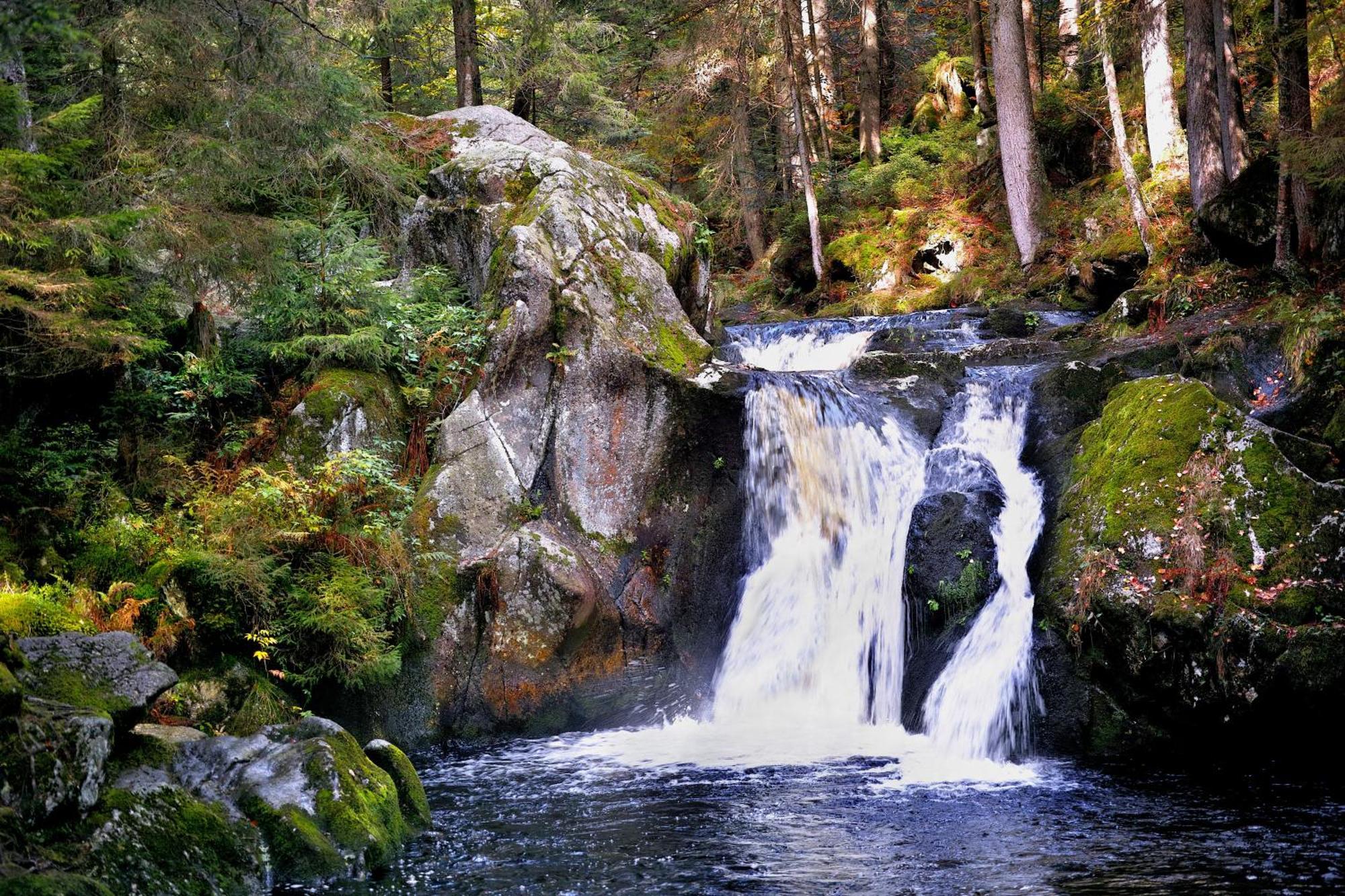 Naturidyll Am Fluss - Albmatte - Grosser Garten Zum Grillen Und Entspannen-direkt Neben Dem Radon Revitalbad Mit Sauna Und Thermalbecken *