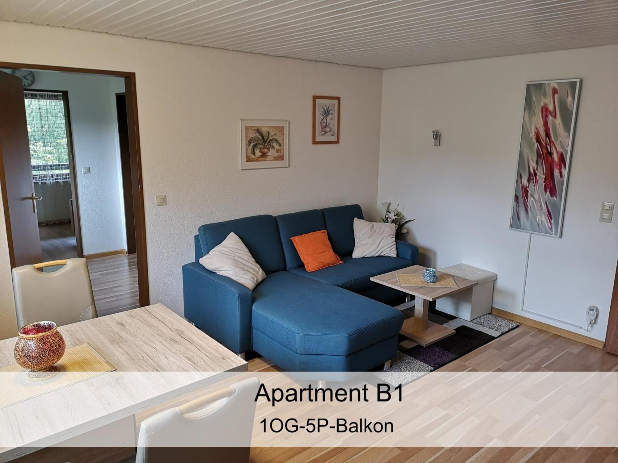 Apartment Naturidyll Am Fluss - Albmatte - Grosser Garten Zum Grillen Und Entspannen-direkt Neben Dem Radon Revitalbad Mit Sauna Und Thermalbecken